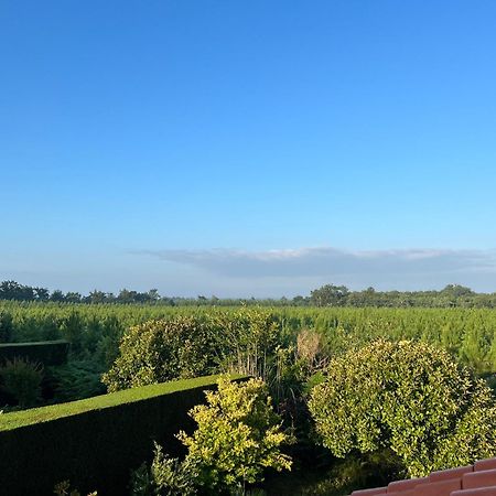 Jolie Maison De Vacances Avec Terrasse Et Jardin Сен-Жулиен-ан-Борн Екстериор снимка