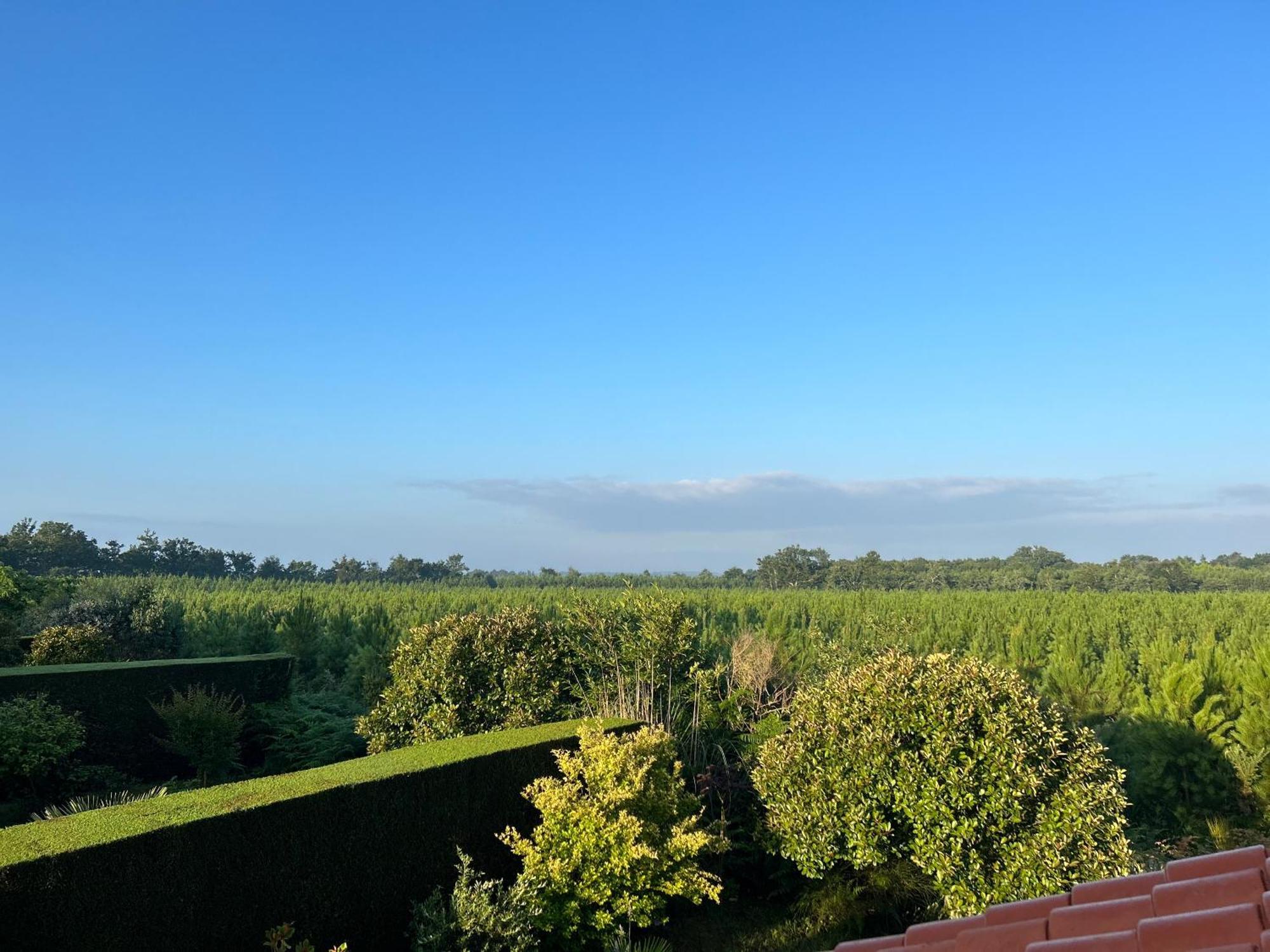 Jolie Maison De Vacances Avec Terrasse Et Jardin Сен-Жулиен-ан-Борн Екстериор снимка