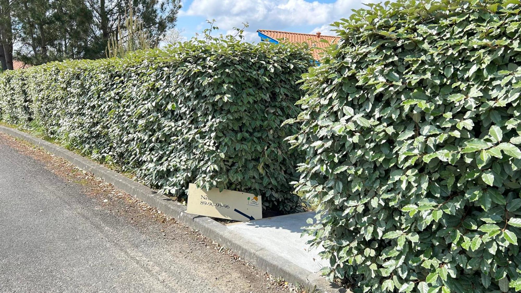 Jolie Maison De Vacances Avec Terrasse Et Jardin Сен-Жулиен-ан-Борн Екстериор снимка